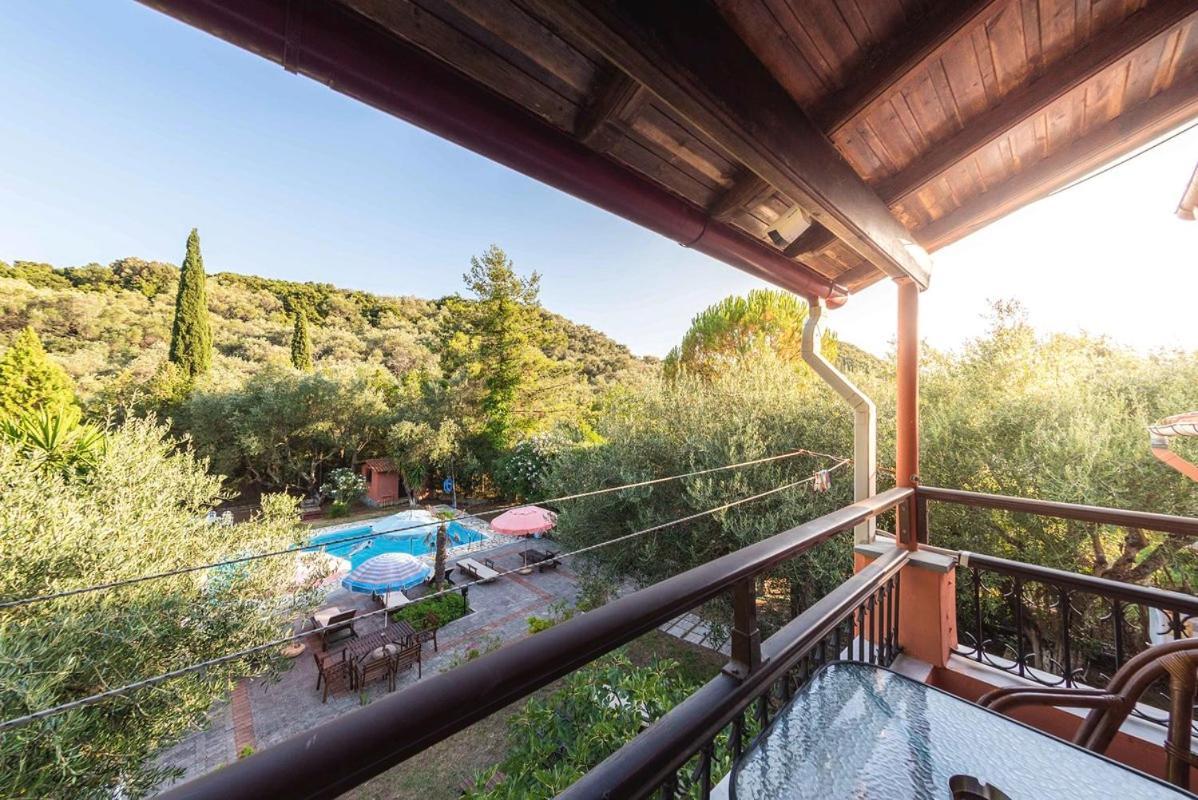 Mimosa With Pool Appartement